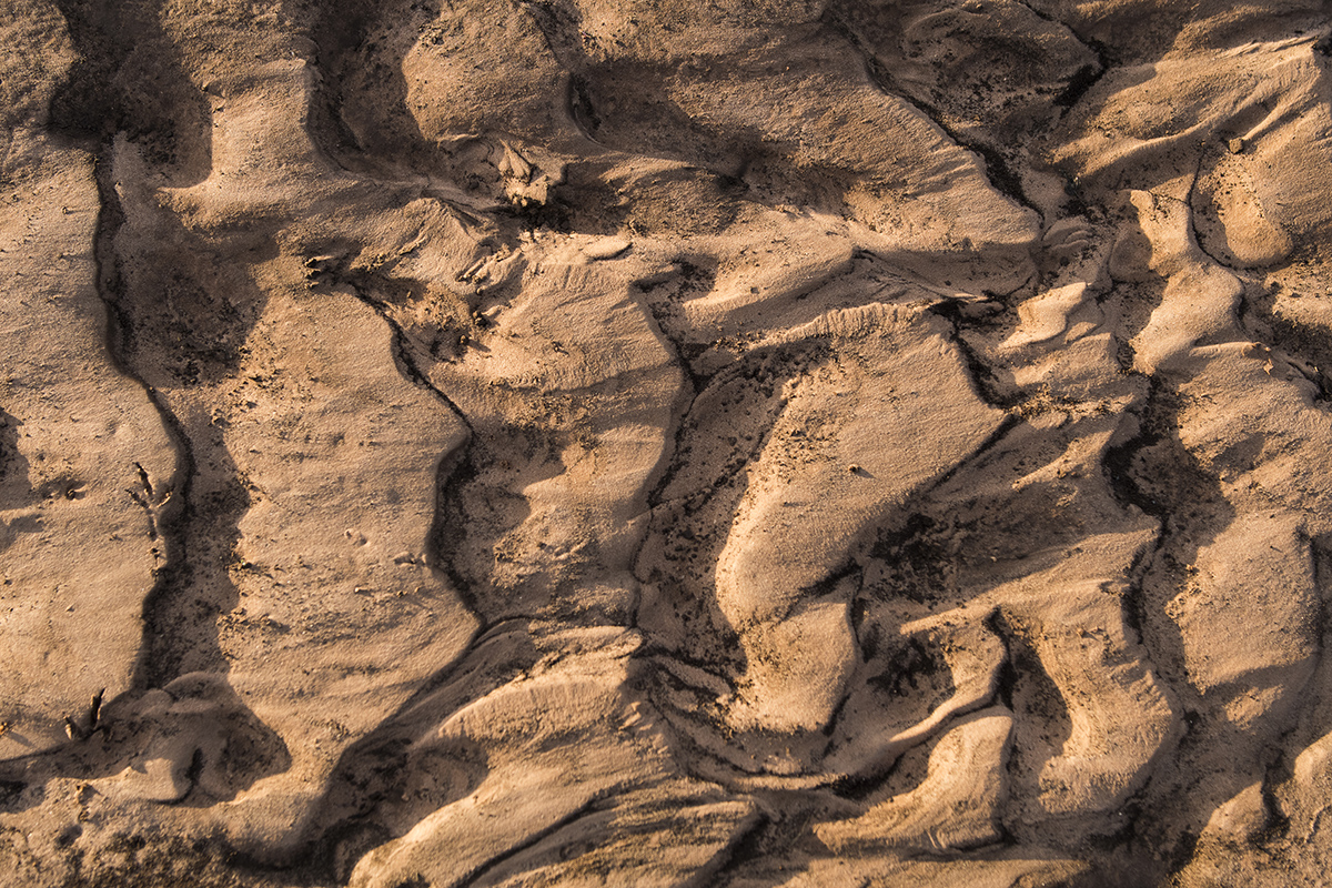 Heavy rains, common on the South Plains, mixed with tilled fields result in the erosion of the field. When this erosion occurs two things happen, the farmer loses the top soil and whatever chemicals and fertilizer left the field that don&#039;t break down run off.